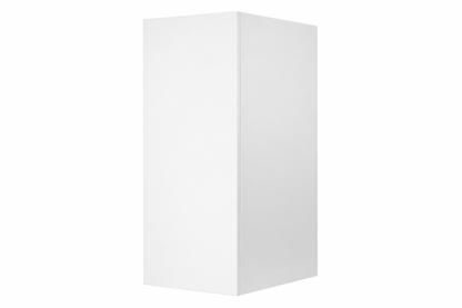 Wall Cabinet – 300 mm